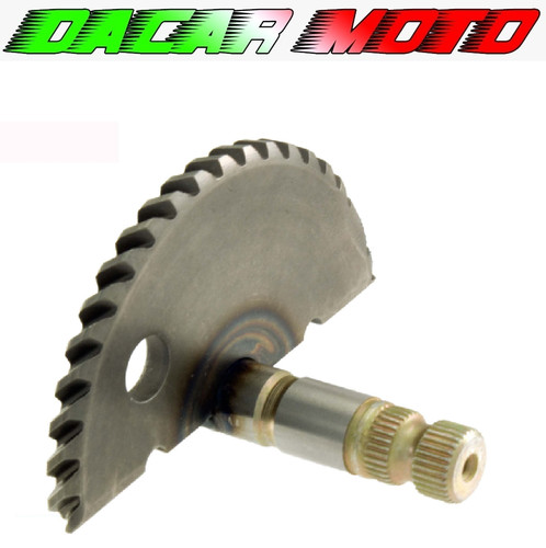 Engine starting sector - , kymco