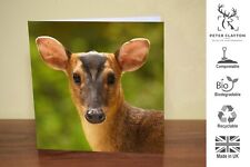 Eco Friendly Blank Greeting Card: Muntjac Deer Buck Stag Doe | Nature | Wildlife