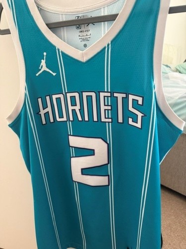 Lamelo ball hornets - hornets, icon
