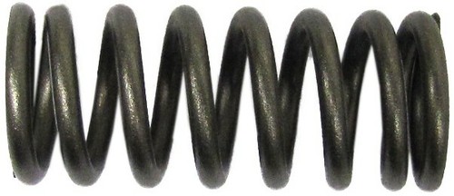 Heavy duty clutch spring - spring, kit