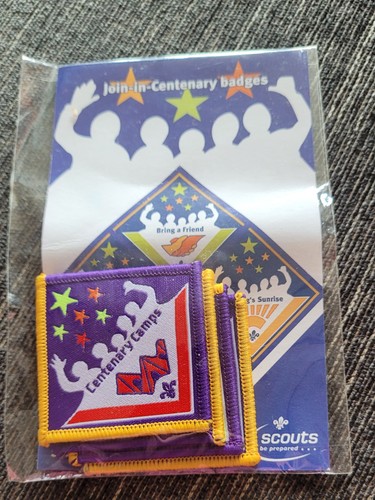 2007 scout badges join the - scout, in