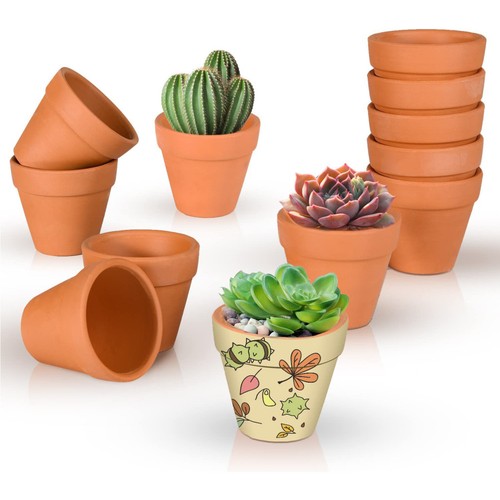 Set terra cotta - 10/20, plant
