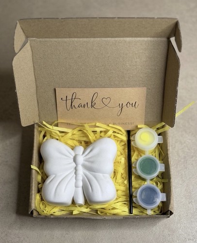 Butterfly kit for kids diy - butterfly,