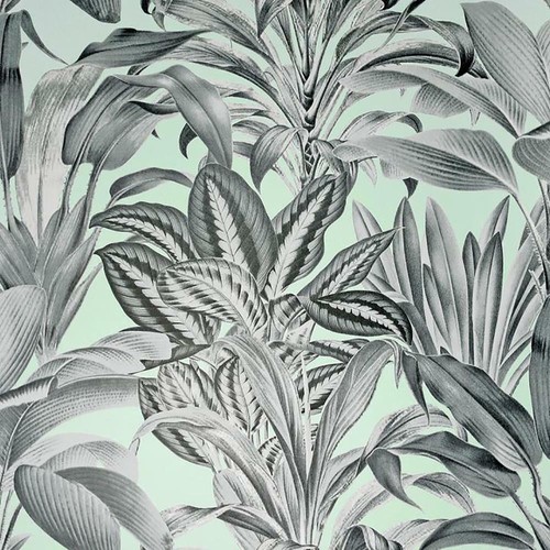 Arthouse greenhouse plants - arthouse,