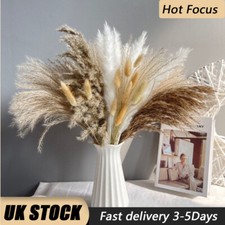 15 Pcs Dried Flowers Pampas