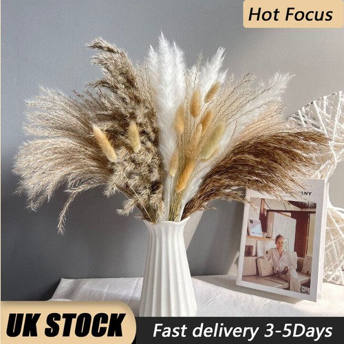 Pcs dried flowers - 15,