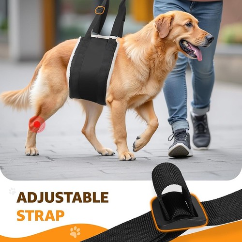 Pet dog mobility - pet,