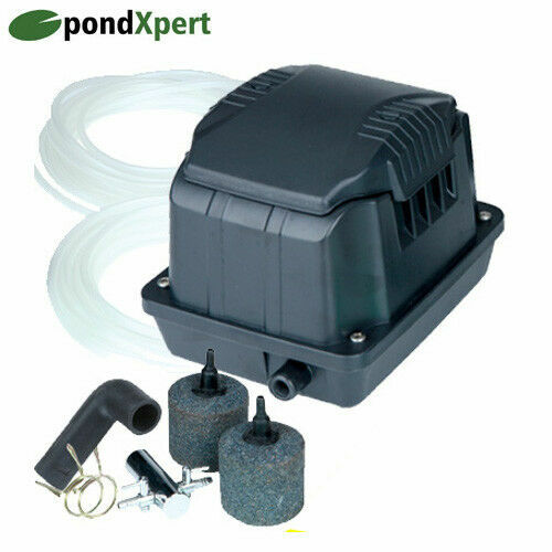 Pond air pumps - air, koi