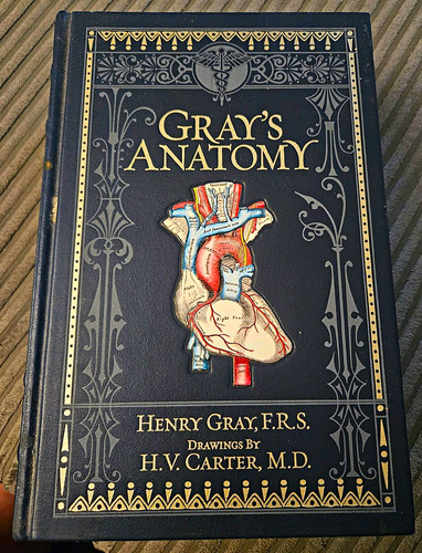 Gray anatomy 15th ed - anatomy,