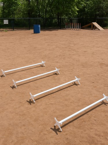 Dog cavalettis adjustable - cavalettis,