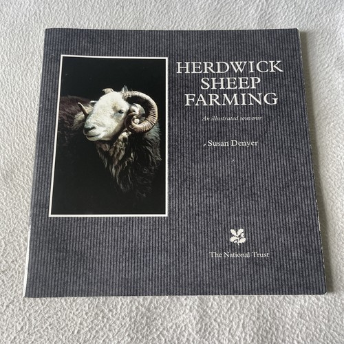 Herdwick sheep farming - farming, an