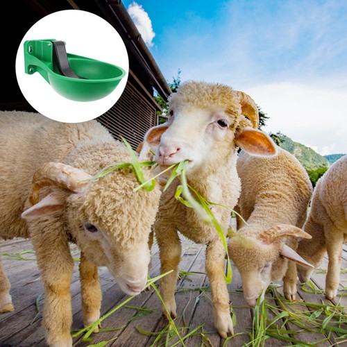 Cattle water bowl - cattle,