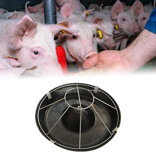 Pig feeding trough - feeding, piglet
