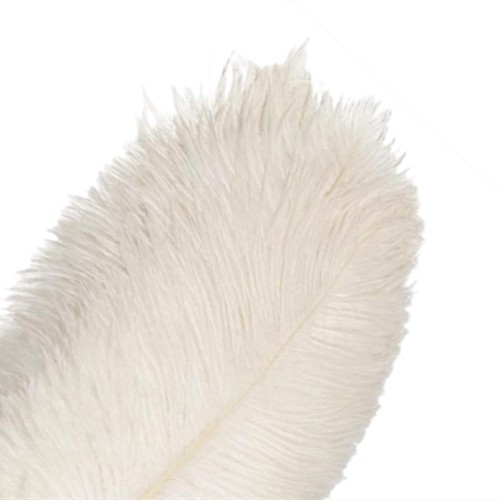 10pcs bulk natural white - 10pcs,