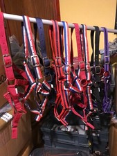 PACK OF 5  NYLON HEADCOLLARS MIXED COLOURS SHETLAND PONY COB FULL OR MIXED SIZES