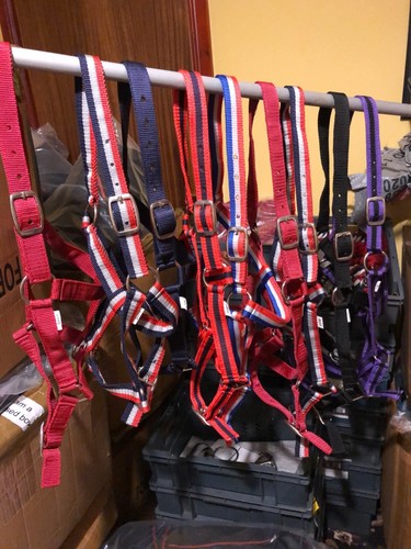 Pack nylon headcollars - ,