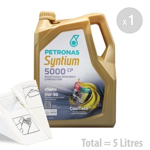 Car engine oil - engine, service