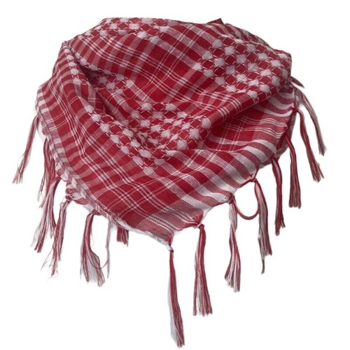Woman arab kerchief middle - woman,