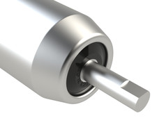 Replacement Saxon Baroness