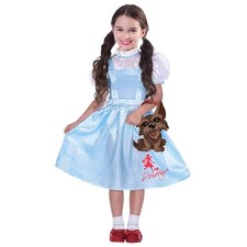 Girls Dorothy The Wizard Of Oz Costume