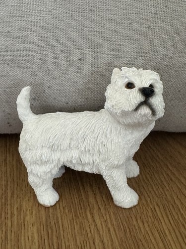 Westie dog west - west, highland
