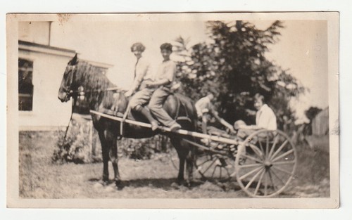 Vintage black white photo - vintage,