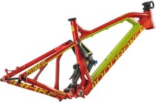 Frame Pivot Bearing Kit |