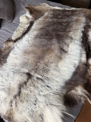 Scandinavian reindeer hide - hide, rug