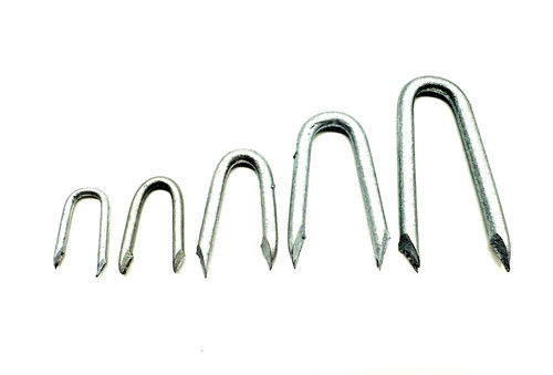 Galvanised staples nails - staples, u