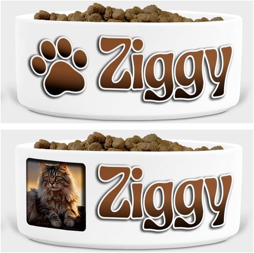 Personalised cat bowl with - bowl,