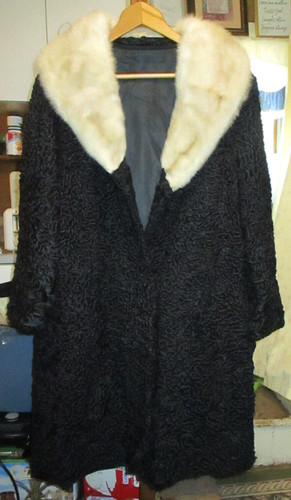 Black astrakhan wool - black,