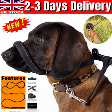 Padded Head Collar Reflective