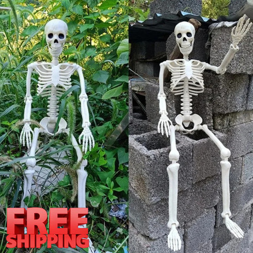 Giant life size human skeleton - giant,