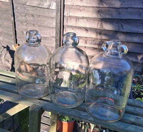Clear glass demijohns 3x5 - clear,