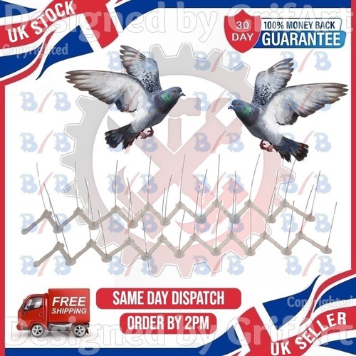 Birds spikes packs - packs, fence