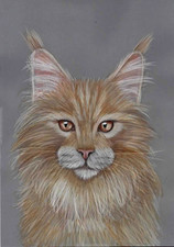 Original coloured pencil