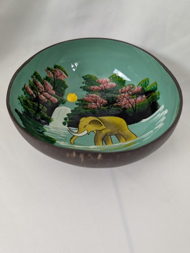 Hand painted coconut - painted, shell