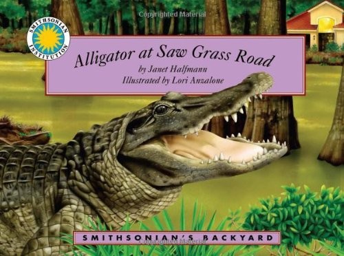 Alligator saw grass road - grass,
