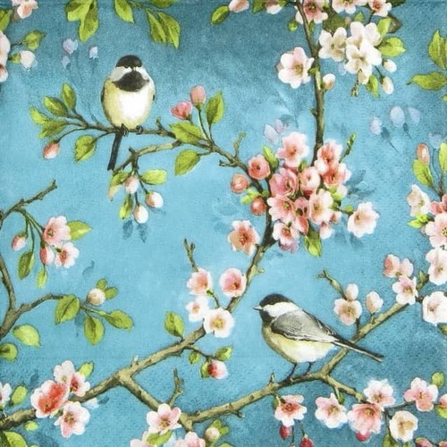 Single paper napkins - paper, for