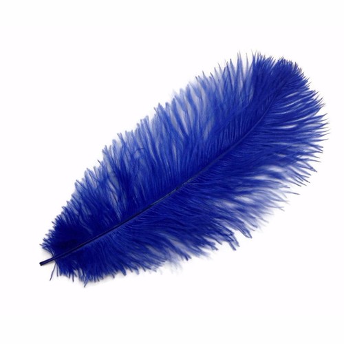 Ostrich feathers royal blue - royal,