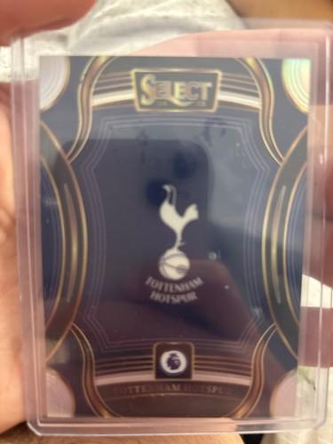 Tottenham hotspur badge 25 - hotspur, 24