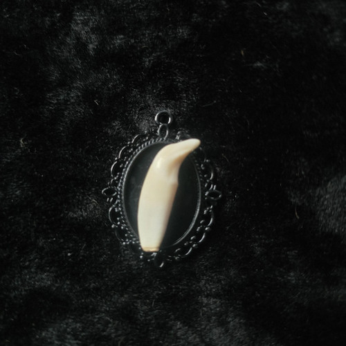 Big badger tooth pendant - big,
