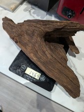 Large Piece Of Bog Wood