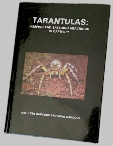 Tarantulas keeping and - tarantulas,
