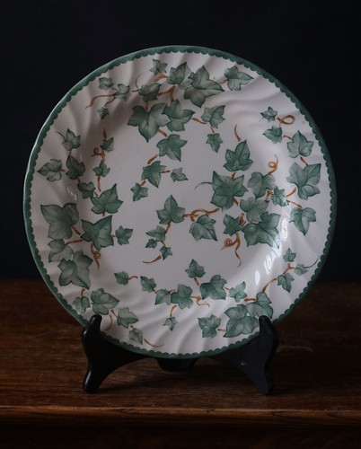 Barratts ivy dinner plates - dinner,