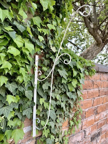 Ornate hanging flower basket - hanging,