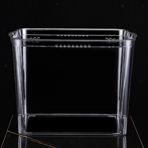 Desktop fish tank - desktop,