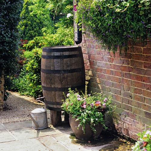 Whiskey gallon oak barrel - whiskey,