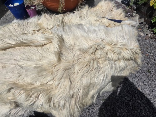 Goat skin rug genuine - goat, rug.
