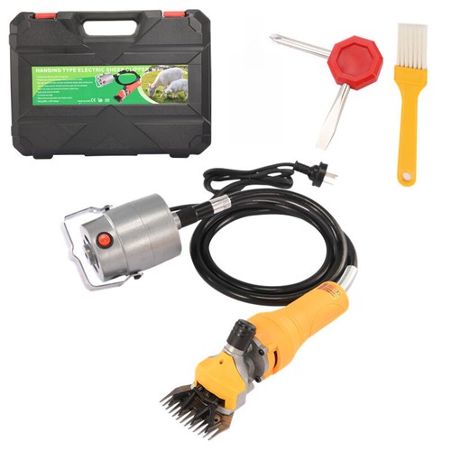 Electric shear sheep - shear,